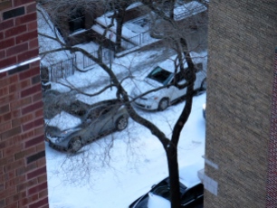 Alternate side of the street parking suspended for the day--happy car owners!