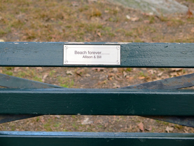 At long last, I now have a favorite park bench.